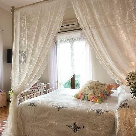 Al Pino B&B Grottaferrata Eksteriør bilde
