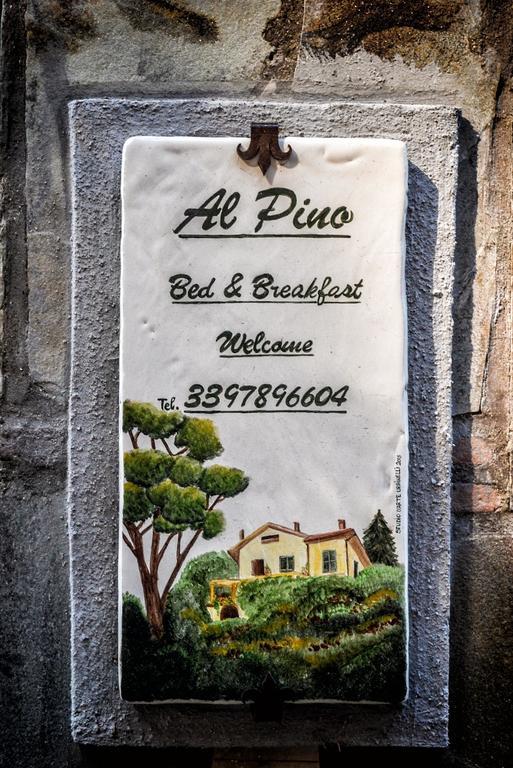 Al Pino B&B Grottaferrata Eksteriør bilde
