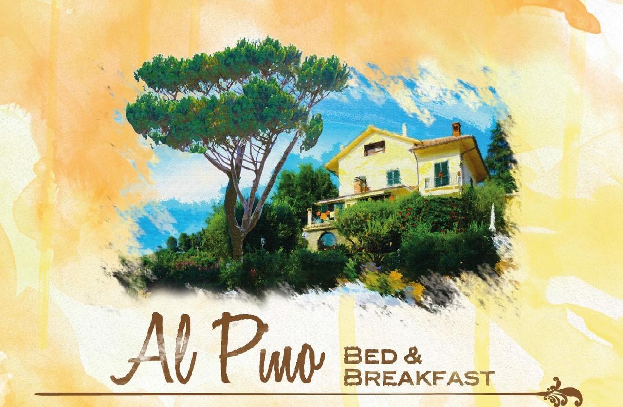 Al Pino B&B Grottaferrata Eksteriør bilde